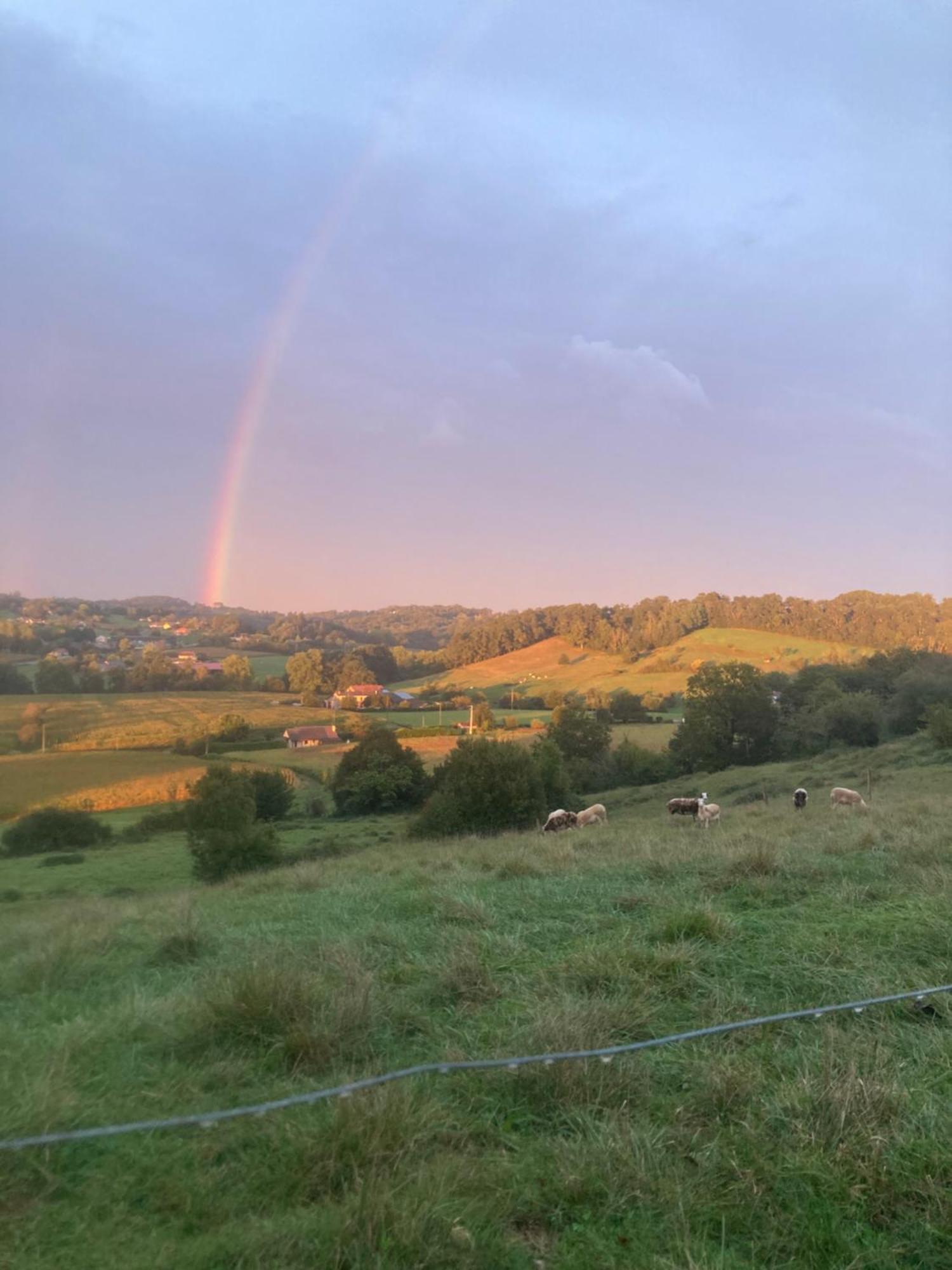 فندق Domaine Labouroume Salies-de-Béarn المظهر الخارجي الصورة