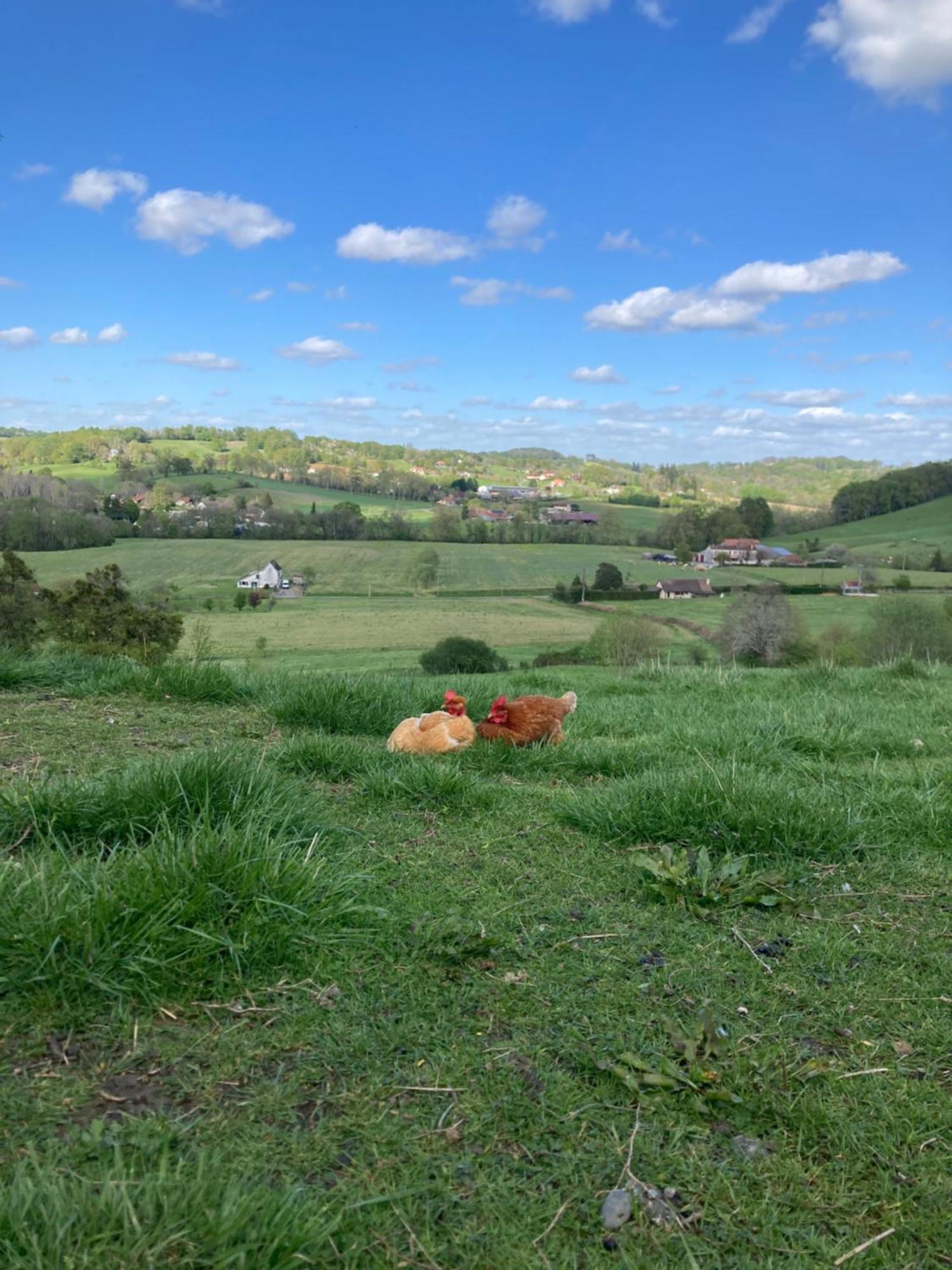 فندق Domaine Labouroume Salies-de-Béarn المظهر الخارجي الصورة
