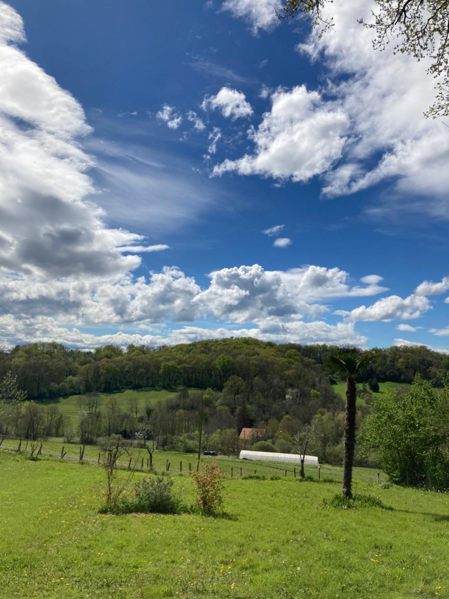 فندق Domaine Labouroume Salies-de-Béarn المظهر الخارجي الصورة