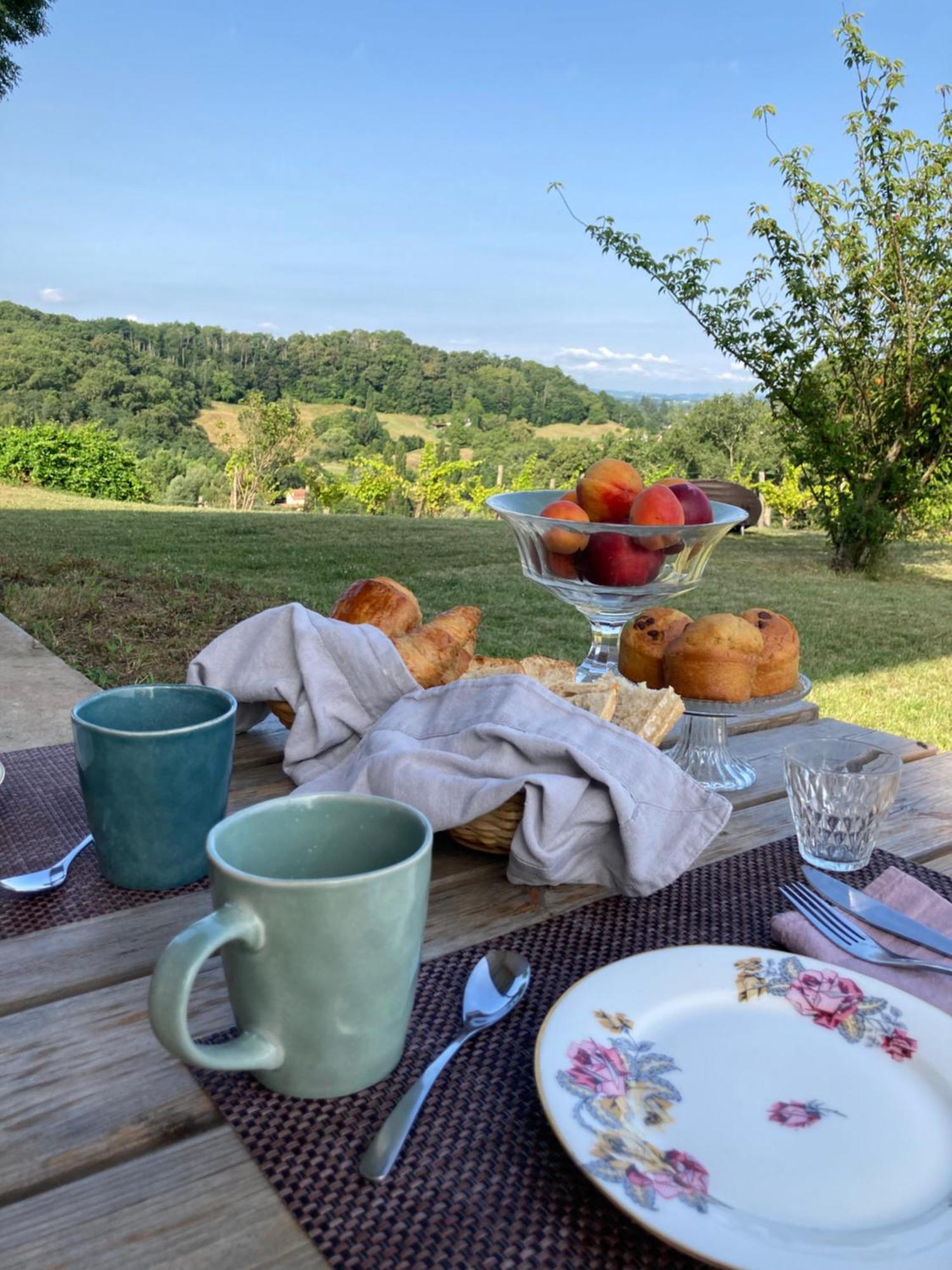 فندق Domaine Labouroume Salies-de-Béarn المظهر الخارجي الصورة